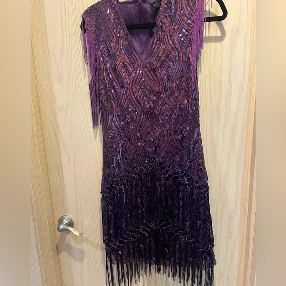 1920’s Purple Flapper Dress.  Used once for a murder mystery party. - Picture 1 of 2